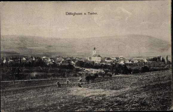 Postcard Dittigheim Tauberbischofsheim Main Tauber district, total view of the village