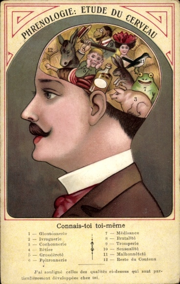 CPA Phrenologie, Etude du Cerveau, Connais-toi, Toi-meme