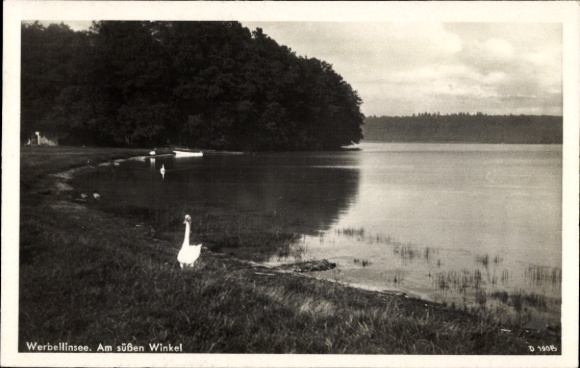 Postcard Altenhof Schorfheide am Werbellinsee, Am süße Winkel