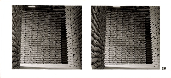 Stereo image photo &quot;The NS model companies 1937-38&quot; No. 257, Gebr. Nielsen Reismühlen, starch factory