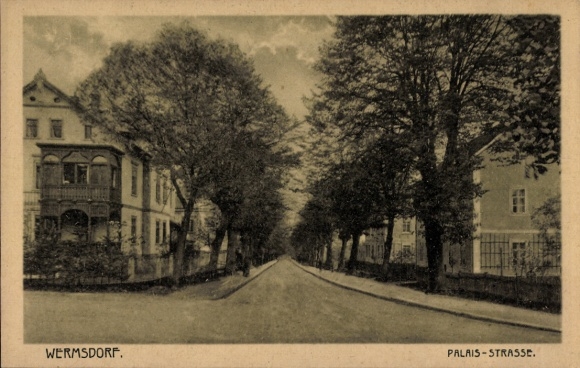 Ak Wermsdorf in Sachsen,  Palaisstraße, Bäume, Straße, Häuser