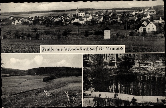 Ak Kirchdorf Urbach im Westerwald, Totalansicht, Rehe, Wasserpartie