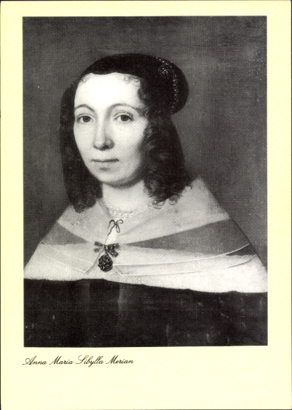 Artysta KP naturalista Anna Maria Sibylla Merian, portret