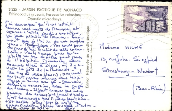 Postcard Exotic Garden of Monaco, Opuntia microdasys, Ferocactus robustus