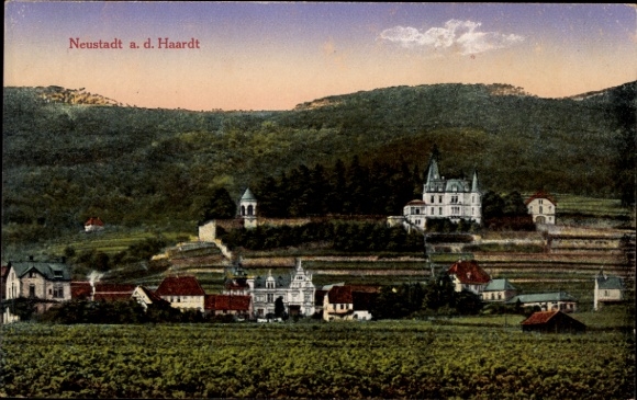 Ak Neustadt an der Haardt Neustadt an der Weinstraße , Landschaft mit Weinbergen, Häusern, Hügeln