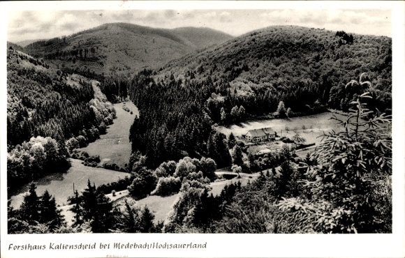 Postcard Medebach in Sauerland, Forsthaus Kaltenscheid