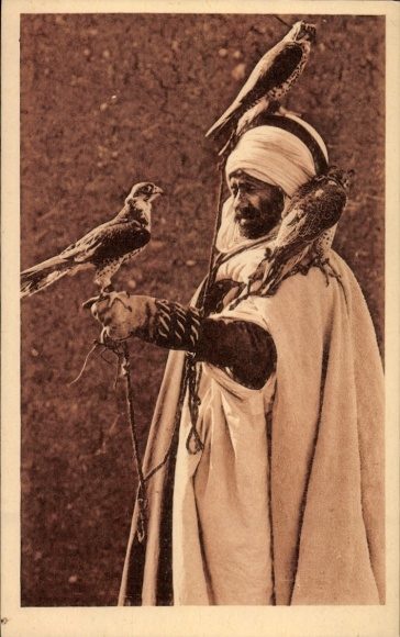 Postcard Biskra Algeria, falconer, falconry, Arab, Maghreb