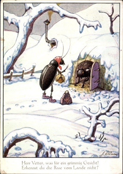 Artist Postcard Blömer, Hermann, Mr. Cousin, what a grim face, insects in winter