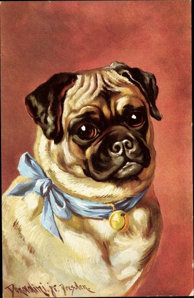Artist Postcard Donadini, dog portrait, pug