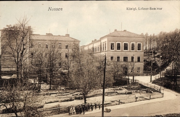Postcard Nossen in Saxony, Royal Teachers' Seminary, trees, buildings, street view