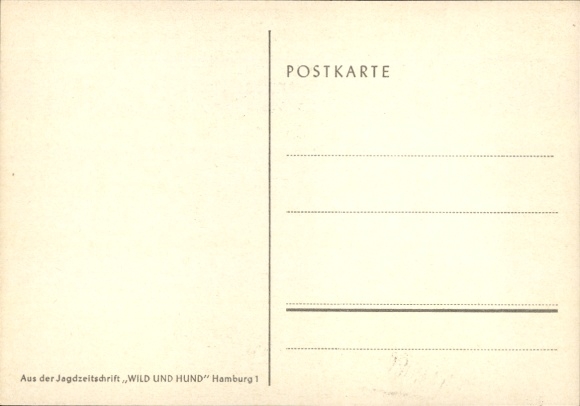 Artist Postcard Geilfus, H., Wild boar must be fought by all means, hunter humor