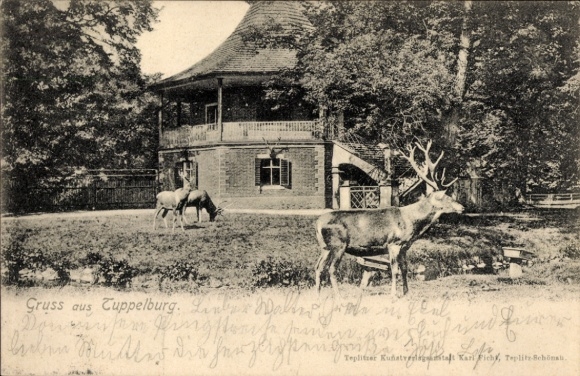 Ak Střelná Střelné Strahl Košťany Kosteny Kosten Reg. Aussig, Jagdschlösschen Tuppelburg, Hirsche