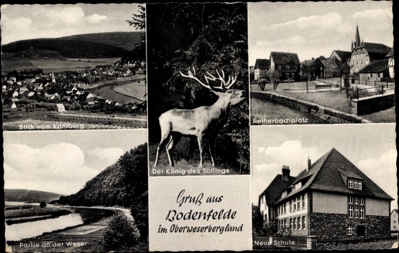 Postcard Bodenfelde on the Weser, view from Kahlberg, Reiherbachplatz, new school, deer, Weserpartie