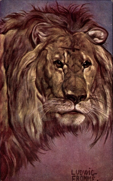 Artist PC Fromme, Ludwig, lion, animal portrait