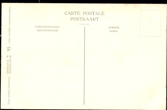 Artist Postcard Dupond, Hub., Mouette pygmee, Dwarf Gull, No. 95