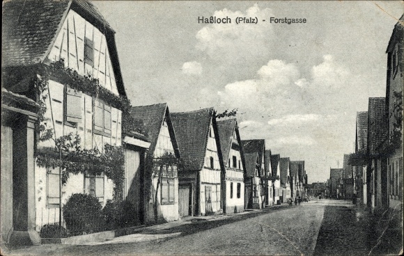 Ak Haßloch in de wijk Bad Dürkheim, uitzicht op de Forstgasse