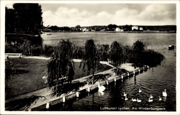 Ak Lychen in der Uckermark, Luftkurort  Hindenburgpark, See mit Schwänen, Bäume am Ufer