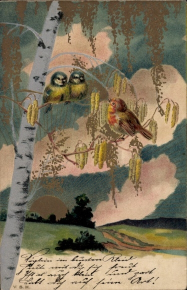 Präge Ak Landschaft, Vögel auf einer Birke