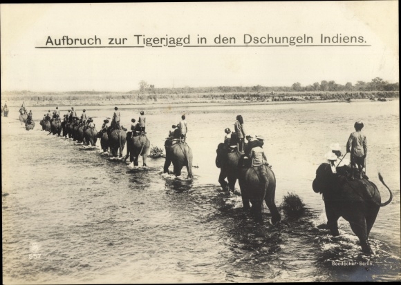 Postcard India, departure for tiger hunting, elephants