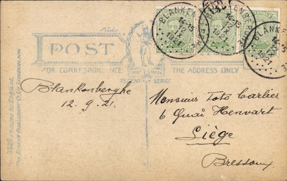 Postcard Brown Dog and Bee