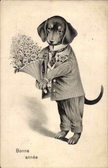 Happy New Year, dressed dachshund with bouquet of flowers