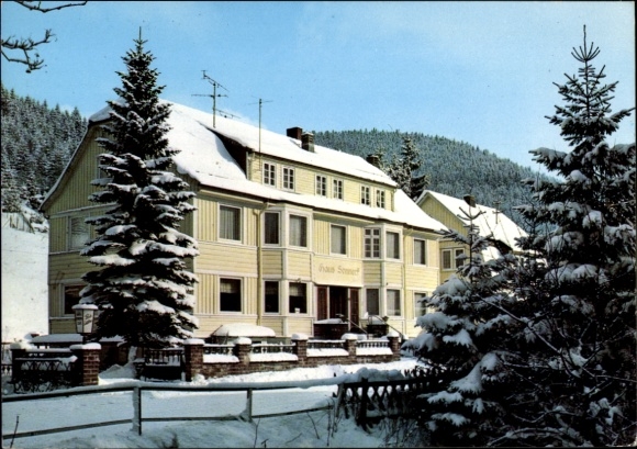 Ak Wildemann Clausthal Zellerfeld im Oberharz, Haus Sonneneck im Winter