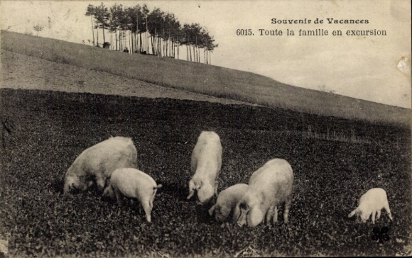 CPA Souvenir de Vacances, Toute la family en excursion