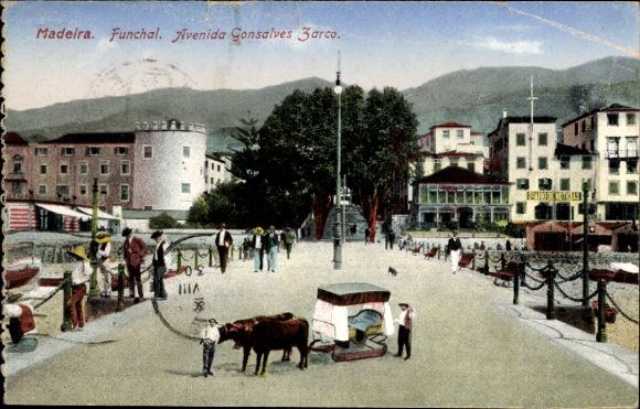 KP z Funchal, Madera, Portugalia, pocztówka z Funchal, Avenida Gonsalves Zarco, widok na miasto