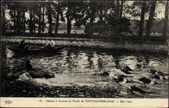 Postcard Forest of Fontainebleau Seine et Marne, Hunting with hounds, Bat l&#39;eau, Hirsch, Jagdhunde