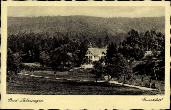 Postcard Bad Salzungen Thuringia, The Grundhof surrounded by forest