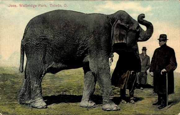 PC Toledo Ohio USA, Jose, Walbridge Park, Olifant