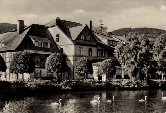 Ilsenburg in the Harz Mountains, house on the water, trees, swans, mountain landscape in the background
