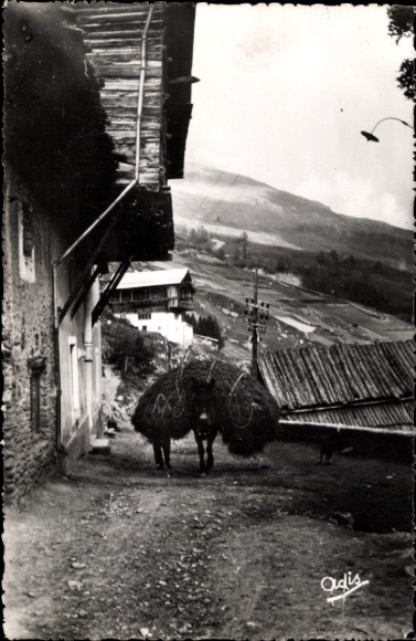 CPA Saint Véran Hautes Alpes, Rentrée des foins