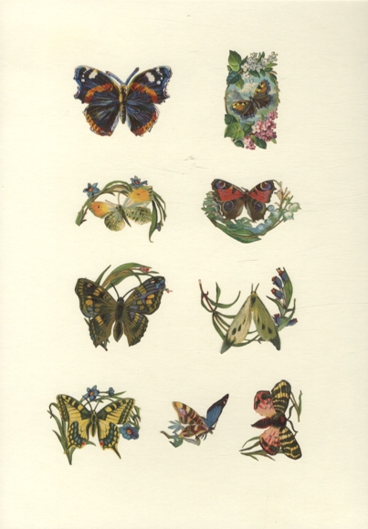 9 Oblaten bunte Schmetterlinge und Falter, ca. 5,5 x 6 cm bis 3 x 3,5 cm