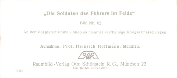 Stereo image photo "The Führer's soldiers in the field", No. 82, Fallen horse, advance road