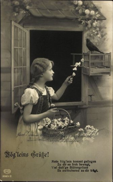 6 old Postcard series young girl with flower basket and bird &quot;Vög&#39;leins Greetings!&quot;