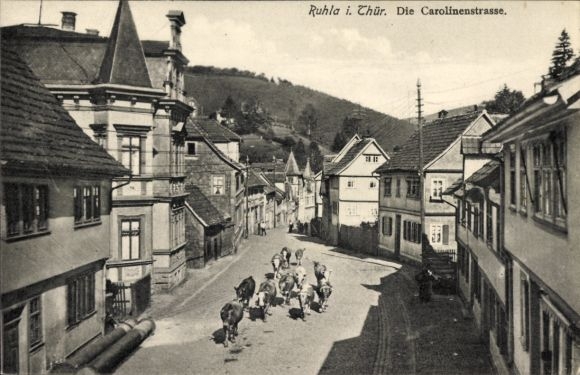 Ak Ruhla b. Eisenach, Kühe in der Carolinenstraße