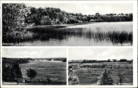 Ak Ruhwinkel in Schleswig Holstein, Schmalensee, Wiesengrund, Schierensee