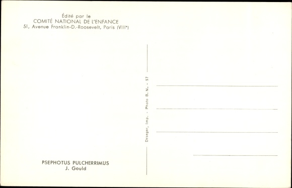 Artist Postcard Gould, J., Psephotus pulcherrimus, Parakeets