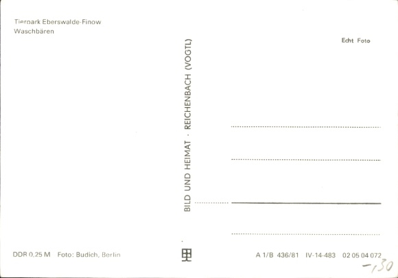 Postcard Finow Eberswalde in der Mark, zoo, raccoons