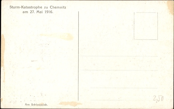 Postcard Chemnitz in Saxony, storm disaster 1916, fallen tree, park area
