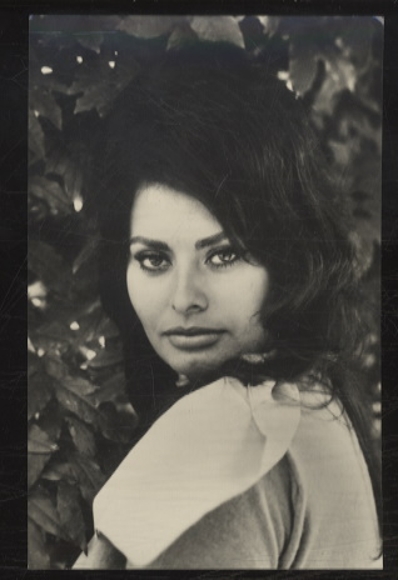 Photograph Sophia Loren, 1965