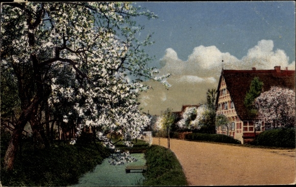 Ak Neumünster in Holstein, Frühlingszeit, Dorfpartie, blühende Bäume