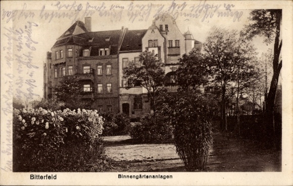 Postcard Bitterfeld in Saxony-Anhalt, inland gardens, buildings, plants, black and white photo