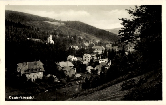 Ak Kipsdorf Altenberg Erzgebirge, Talblick auf den Ort, Wohnhäuser, Wald