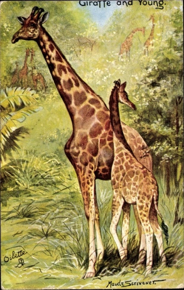 Artist Postcard Scrivener, Maude, Giraffe and young, Tuck 9154