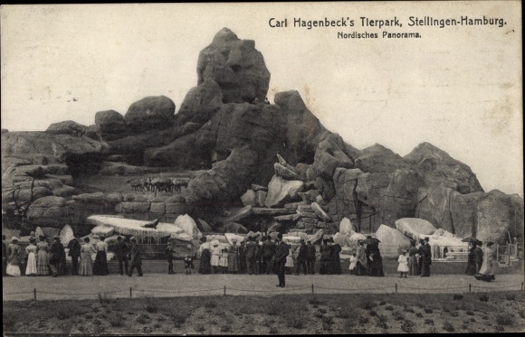 Ak Hamburg Eimsbüttel Stellingen, Carl Hagenbeck's Tierpark, Nordisches Panorama