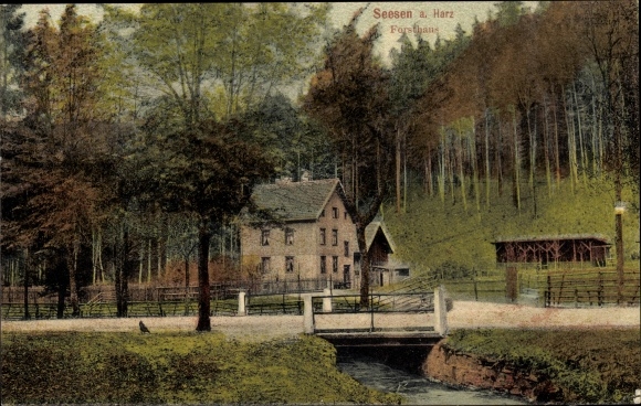 Ak Seesen am Harz, Forsthaus