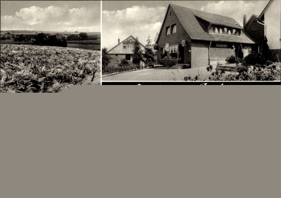 Ak Escher Auetal Niedersachsen, Gasthof, Kaufhaus, Aussen- und Innenansicht, Feld
