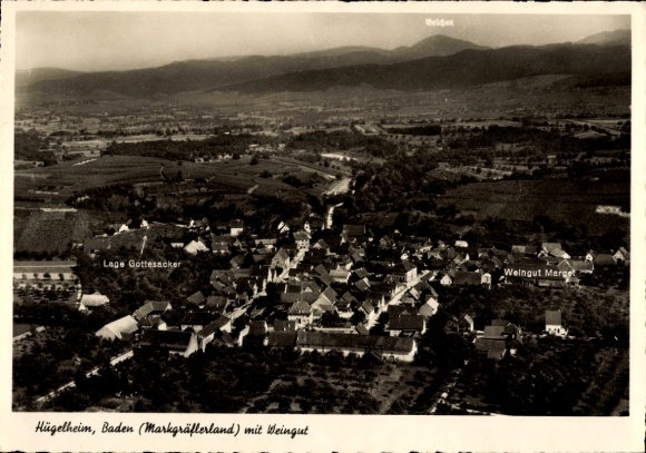 Postcard Hügelheim Müllheim in Baden Markgräflerland, Marget Winery, aerial photograph